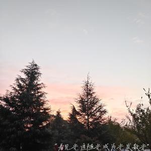 旧本a片温泉下的母子
